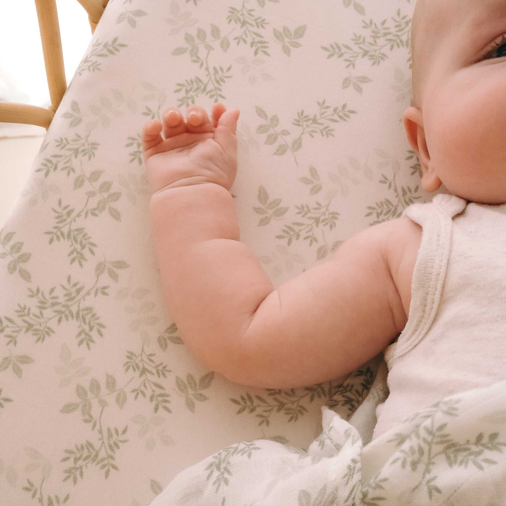 Bassinet | Fitted Sheet/Change Pad Cover | Organic - Cypress - Image 11