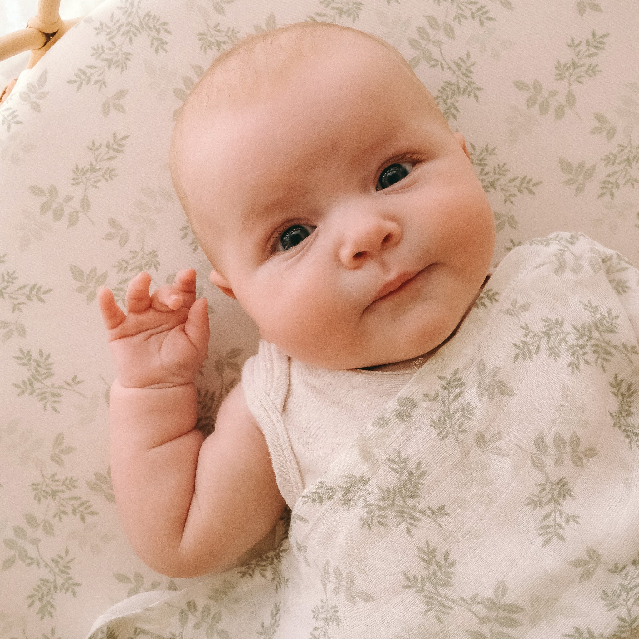 Bassinet | Fitted Sheet/Change Pad Cover | Organic - Cypress - Image 10