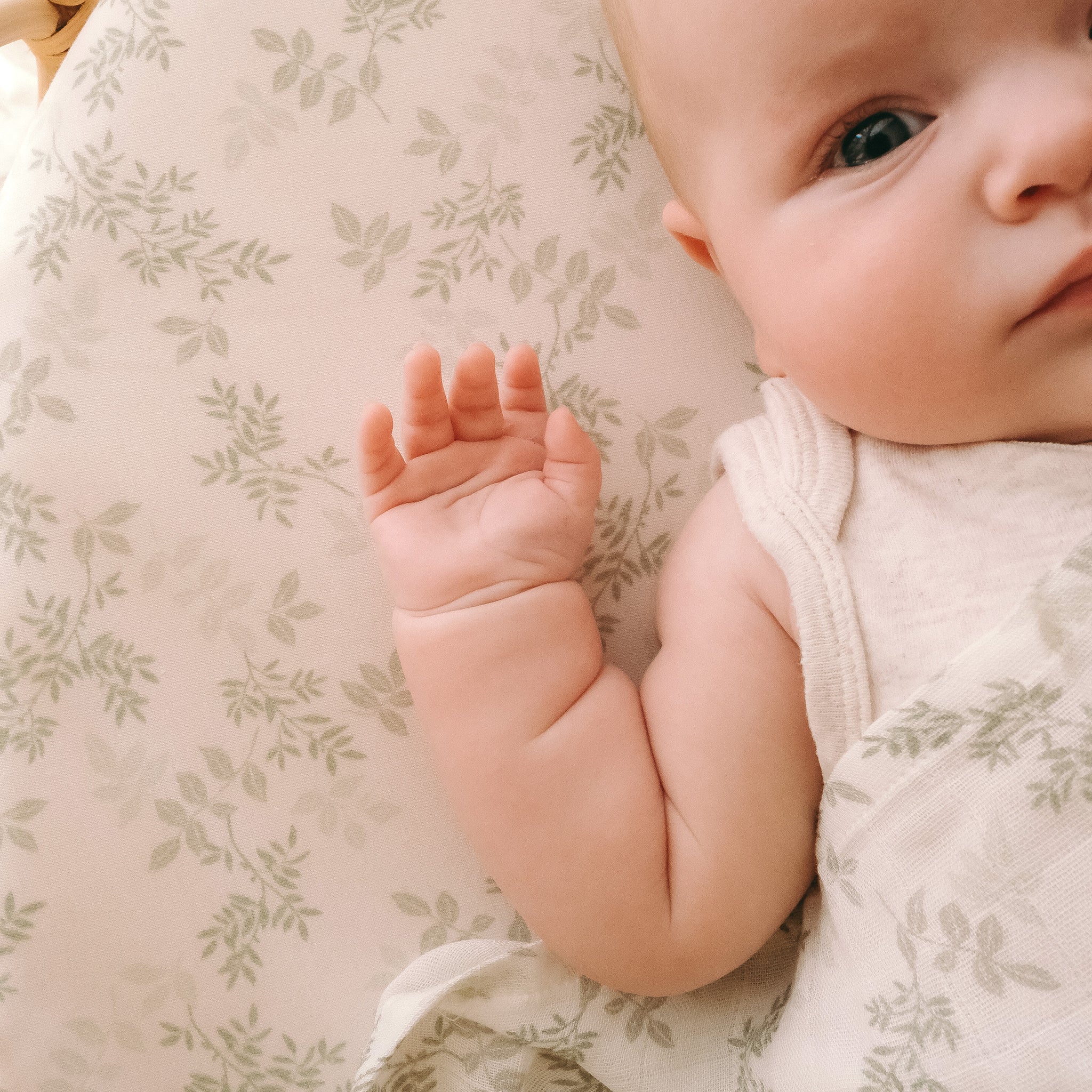 Bassinet | Fitted Sheet/Change Pad Cover | Organic - Cypress - Image 7