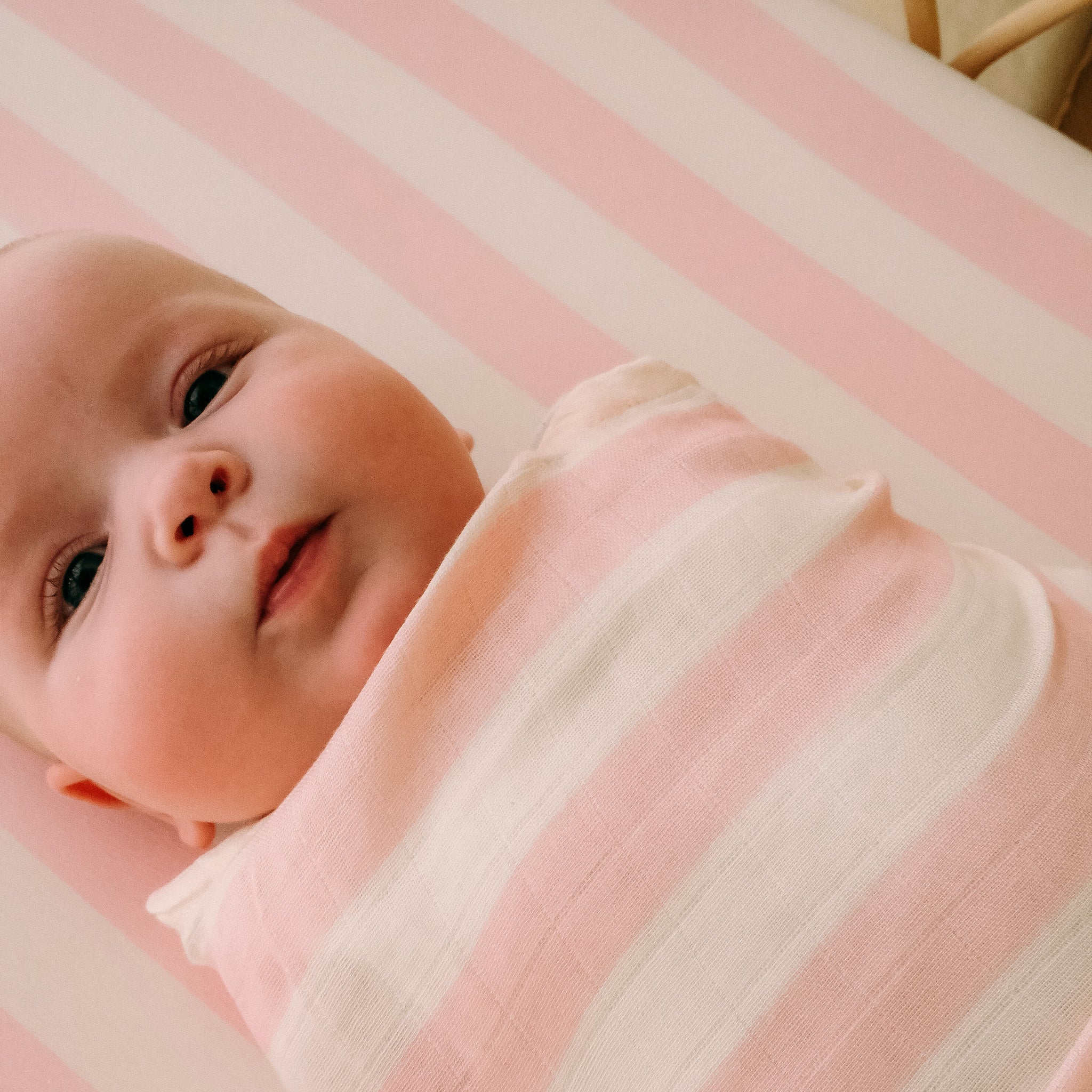 Cot | Fitted Sheet/Change Pad Cover | Organic - Petal Stripe - Image 10