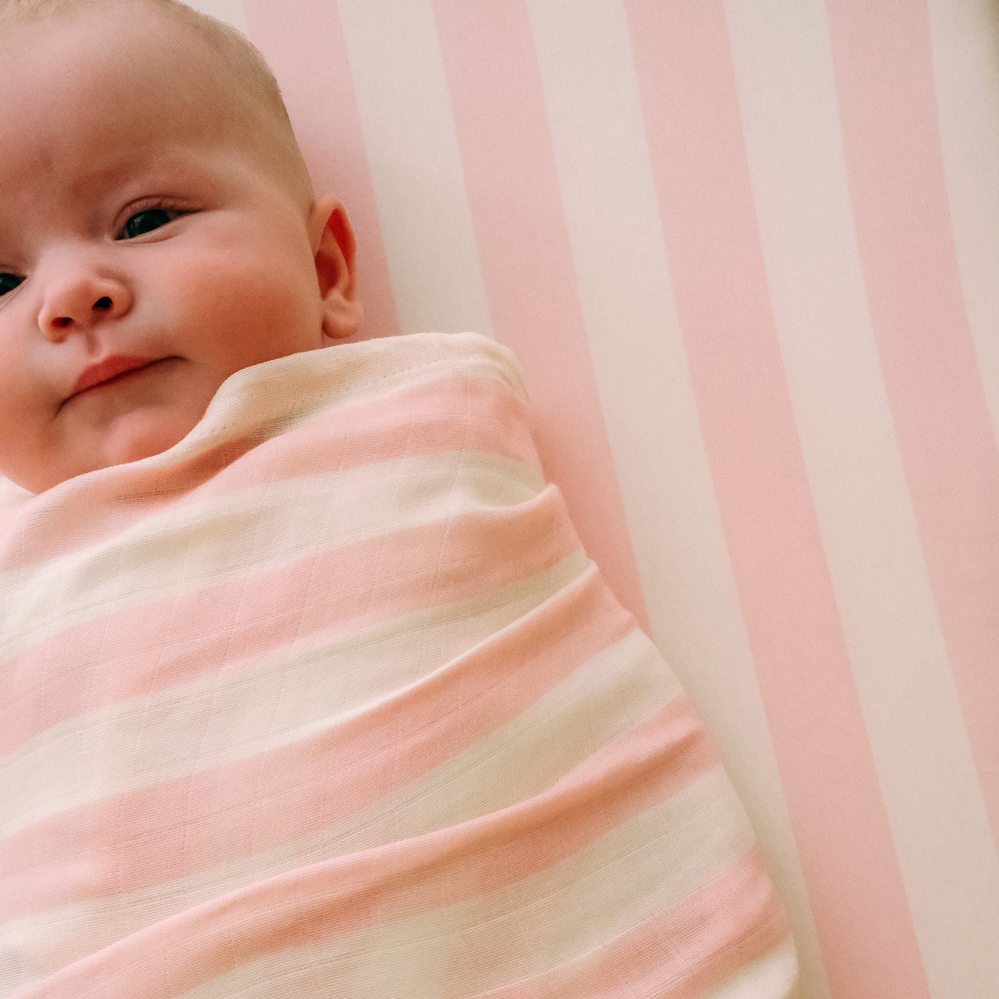 Cot | Fitted Sheet/Change Pad Cover | Organic - Petal Stripe - Image 11